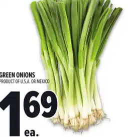 Metro GREEN ONIONS offer