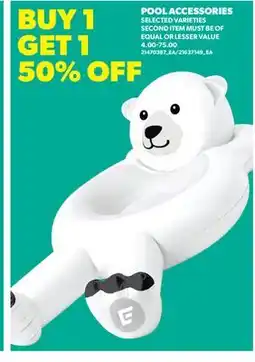 Real Canadian Superstore POOL ACCESSORIES offer