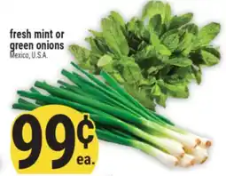 Marché Adonis Fresh mint or green onions offer