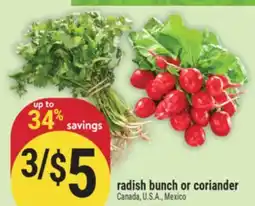 Marché Adonis Radish bunch or coriander offer