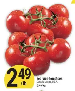 Marché Adonis red vine tomatoes offer