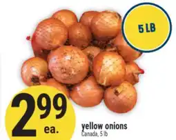 Marché Adonis Yellow onions offer