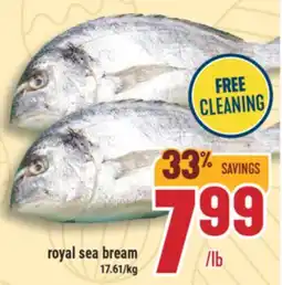 Marché Adonis ROYAL SEA BREAM offer