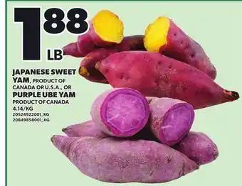 Loblaws JAPANESE SWEET YAM, OR PURPLE UBE YAM offer