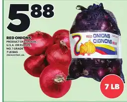 Loblaws RED ONIONS, 7 LB BAG offer