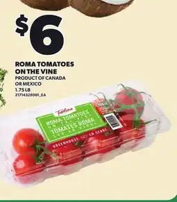 Loblaws ROMA TOMATOES ON THE VINE, 1.75 LB offer