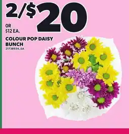 Loblaws COLOUR POP DAISY BUNCH offer