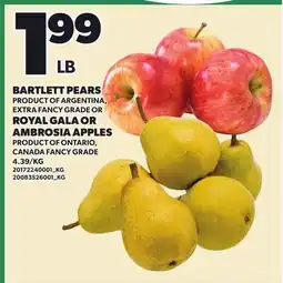Loblaws BARTLETT PEARS OR ROYAL GALA OR AMBROSIA APPLES offer