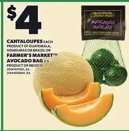Loblaws CANTALOUPES, EACH OR FARMER'S MARKET AVOCADO BAG, 5'S offer