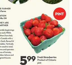 Longo's Fresh Strawberries offer