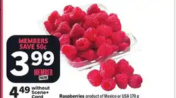 Foodland Raspberries offer
