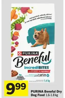 Foodland PURINA Beneful Dry Dog Food offer