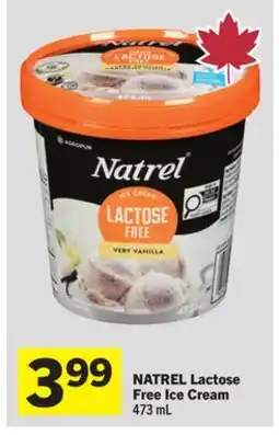 Foodland NATREL Lactose Free Ice Cream offer