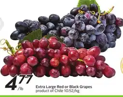 Sobeys Extra Large Red or Black Grapes offer