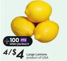 Sobeys Large Lemons offer