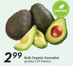 Sobeys Bulk Organic Avocados offer