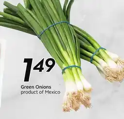Sobeys Green Onions offer