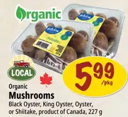 Farm Boy Organic Mushrooms offer
