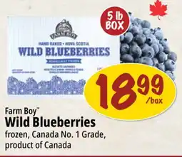 Farm Boy Farm Boy Wild Blueberries offer