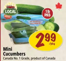 Farm Boy Mini Cucumbers offer