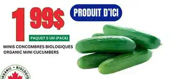 Marches Tau MINIS CONCOMBRES BIOLOGIQUES offer