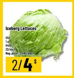 Mayrand Iceberg Lettuces offer