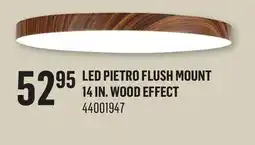 Canac LED Pietro Flush Mount 14 in offer