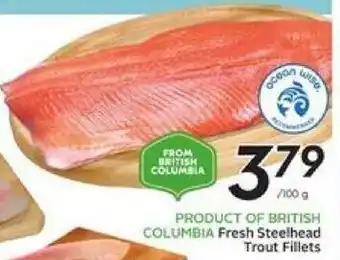 Safeway Fresh Steelhead Trout Fillets offer