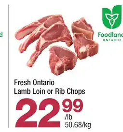Highland Farms Fresh Ontario Lamb Loin or Rib Chops offer
