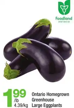 Highland Farms Ontario Homegrown Greenhouse Large Eggplants offer