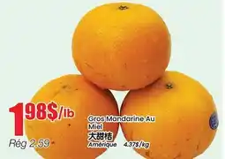 Btrust Supermarket Gros Mandarine Au Miel offer