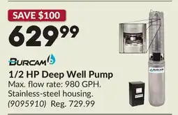 Princess Auto 1/2 HP Deep Well Pump offer