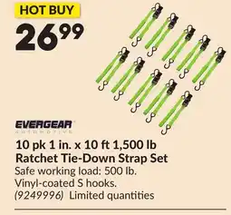 Princess Auto 10 pk 1 in. x 10 ft1,500 lb Ratchet Tie-Down Strap Set offer