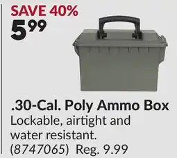 Princess Auto 30-Cal. Poly Ammo Box offer