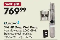 Princess Auto 3/4 HP Deep Well Pump offer