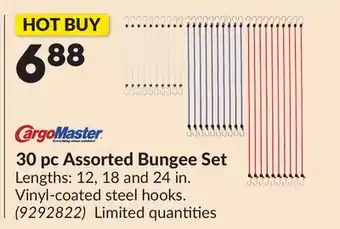Princess Auto 30 pc Assorted Bungee Set offer