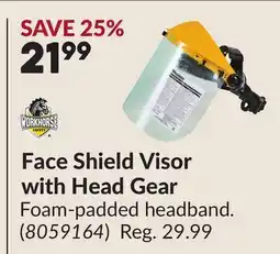 Princess Auto Face Shield Visor with Head Gear offer