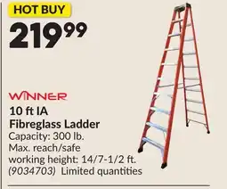 Princess Auto 10 ftIA Fibreglass Ladder offer