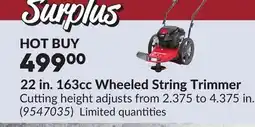 Princess Auto 22 in. 163cc Wheeled String Trimmer offer