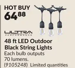 Princess Auto 48 ftLED Outdoor Black String Lights offer