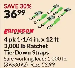 Princess Auto 4 pk 1-1/4 in. x 12 3,000 lb Ratchet Tie-Down Straps offer