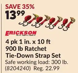 Princess Auto 4 pk 1 in. x 10 900 lb Ratchet Tie-Down Strap Set offer