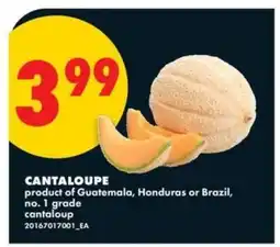 No Frills CANTALOUPE offer
