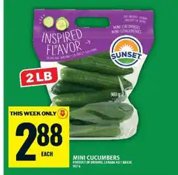 Food Basics MINI CUCUMBERS offer