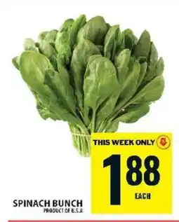 Food Basics SPINACH, bunch offer