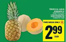 Food Basics Tropical Gold Pineapple or Cantaloupes offer