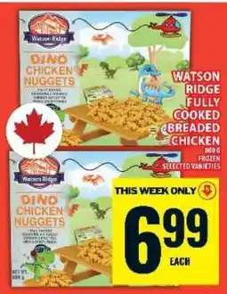 Food Basics Watson Ridge Dino Chicken Nuggets offer
