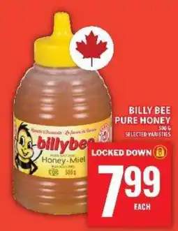 Food Basics BILLY BEE PURE HONEY offer