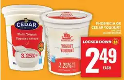 Food Basics Phoenicia or Cedar Yogurt offer