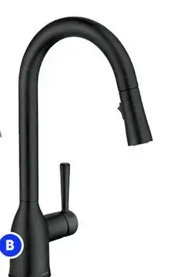 RONA MOEN Adler pull-down kitchen faucet offer